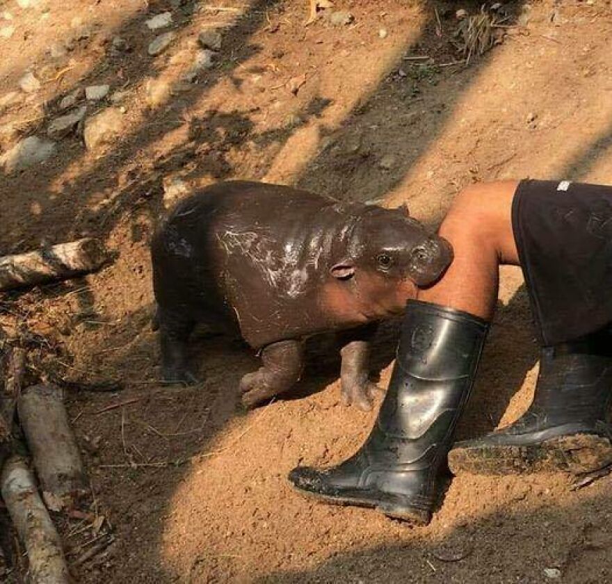 69 Chaotic, Uncomfortable, And Disturbing Pics To Make You Doubt Your Own Or Someone Else&rsquo;s Sanity
