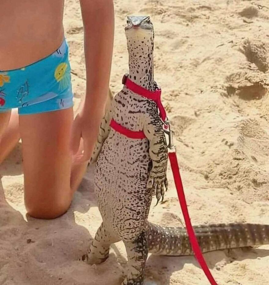 69 Chaotic, Uncomfortable, And Disturbing Pics To Make You Doubt Your Own Or Someone Else&rsquo;s Sanity