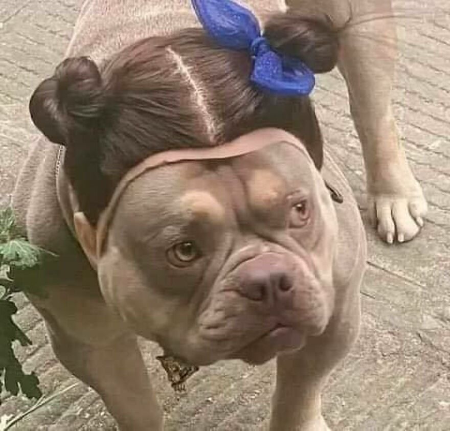 69 Chaotic, Uncomfortable, And Disturbing Pics To Make You Doubt Your Own Or Someone Else&rsquo;s Sanity