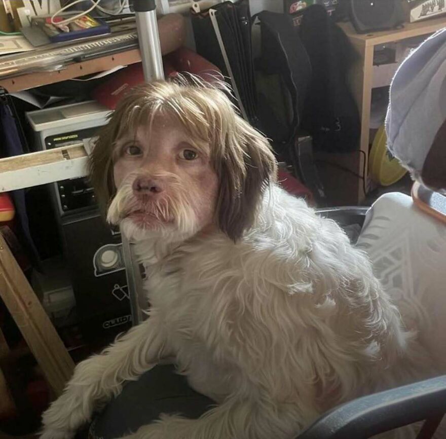 69 Chaotic, Uncomfortable, And Disturbing Pics To Make You Doubt Your Own Or Someone Else&rsquo;s Sanity