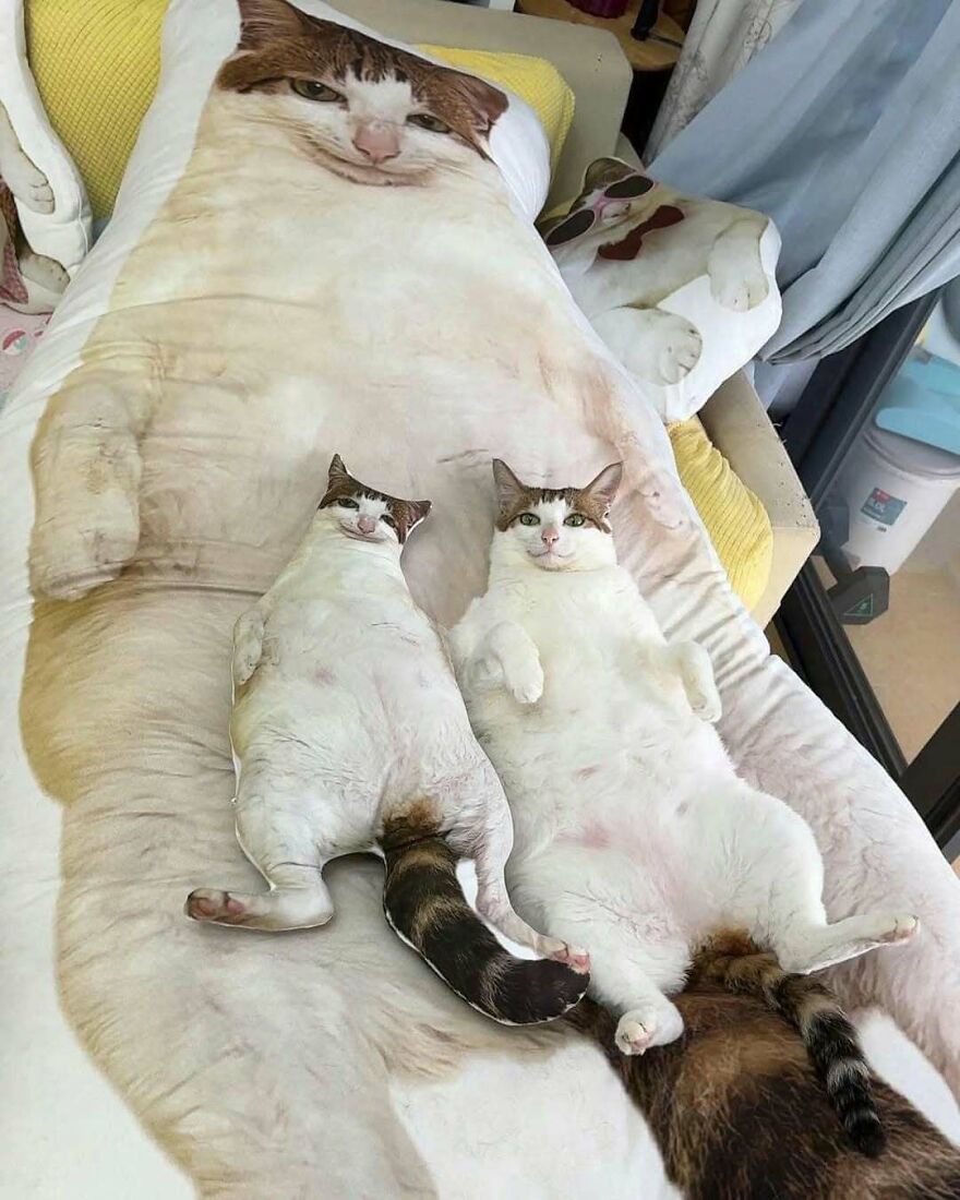 69 Chaotic, Uncomfortable, And Disturbing Pics To Make You Doubt Your Own Or Someone Else&rsquo;s Sanity