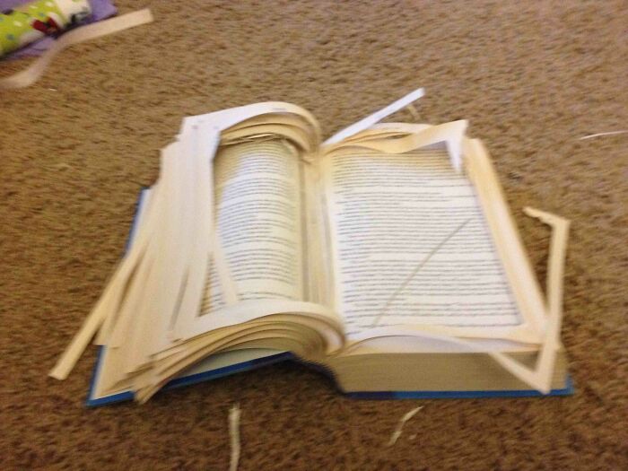 76 DIY Fails From People Whose Confidence Clearly Outpaced Their Skills 76 DIY Fails From People Whose Confidence Clearly Outpaced Their Skills