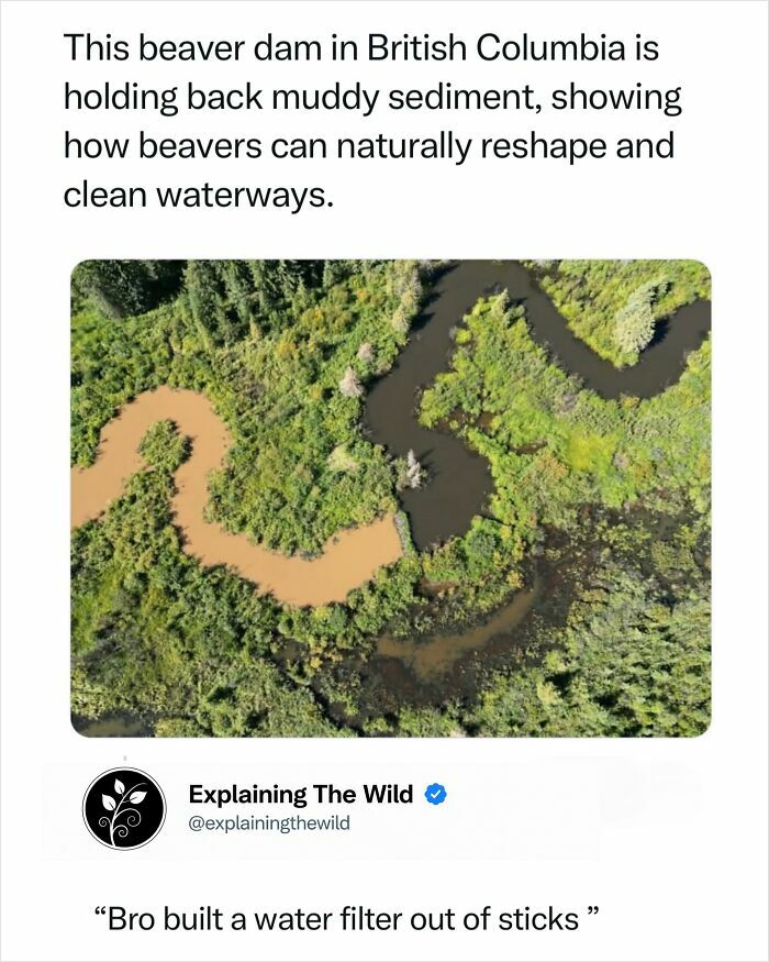 68 Fascinating Photos And Facts That Show Just How Incredible Nature Can Be (New Pics) 68 Fascinating Photos And Facts That Show Just How Incredible Nature Can Be (New Pics)