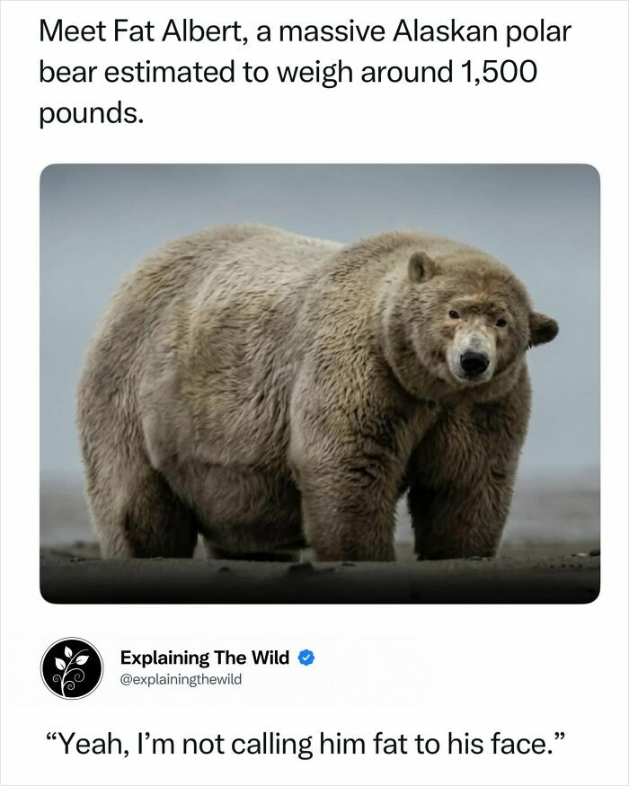 68 Fascinating Photos And Facts That Show Just How Incredible Nature Can Be (New Pics) 68 Fascinating Photos And Facts That Show Just How Incredible Nature Can Be (New Pics)