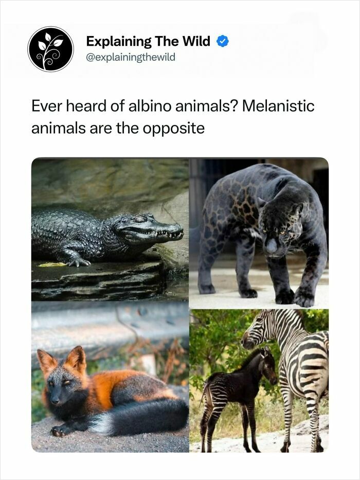 68 Fascinating Photos And Facts That Show Just How Incredible Nature Can Be (New Pics) 68 Fascinating Photos And Facts That Show Just How Incredible Nature Can Be (New Pics)