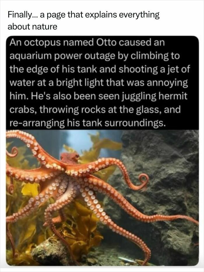 68 Fascinating Photos And Facts That Show Just How Incredible Nature Can Be (New Pics) 68 Fascinating Photos And Facts That Show Just How Incredible Nature Can Be (New Pics)