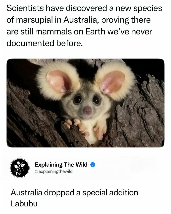 68 Fascinating Photos And Facts That Show Just How Incredible Nature Can Be (New Pics) 68 Fascinating Photos And Facts That Show Just How Incredible Nature Can Be (New Pics)