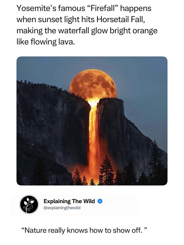 68 Fascinating Photos And Facts That Show Just How Incredible Nature Can Be (New Pics) 68 Fascinating Photos And Facts That Show Just How Incredible Nature Can Be (New Pics)