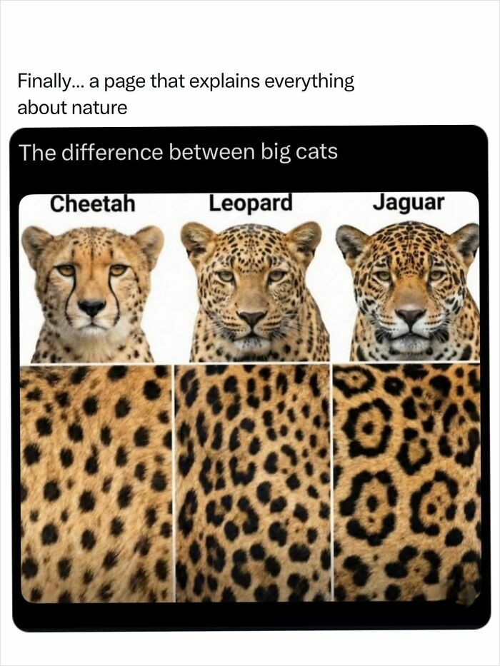 68 Fascinating Photos And Facts That Show Just How Incredible Nature Can Be (New Pics) 68 Fascinating Photos And Facts That Show Just How Incredible Nature Can Be (New Pics)
