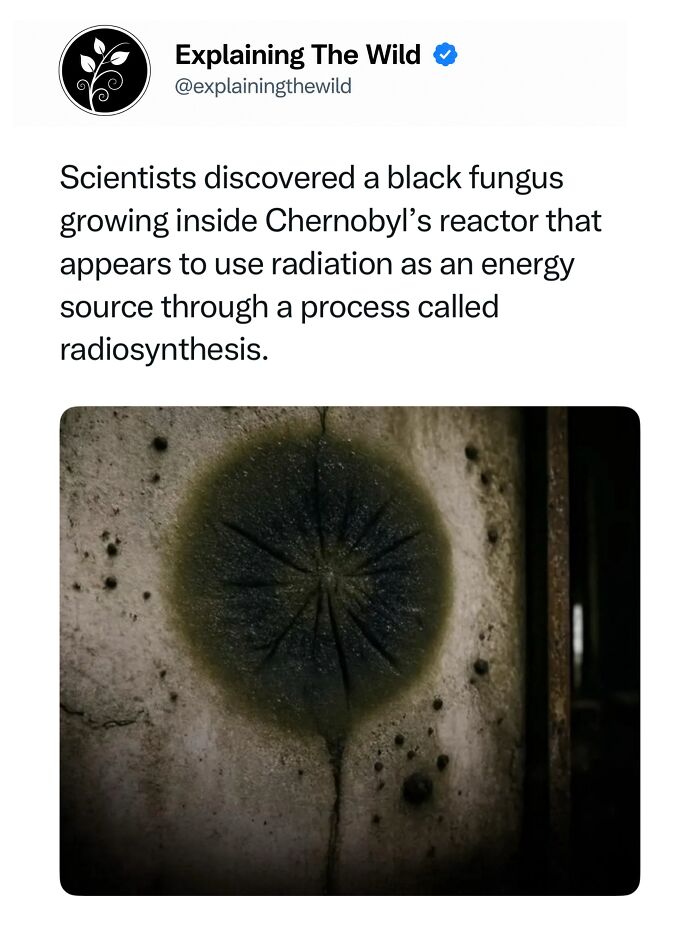68 Fascinating Photos And Facts That Show Just How Incredible Nature Can Be (New Pics) 68 Fascinating Photos And Facts That Show Just How Incredible Nature Can Be (New Pics)