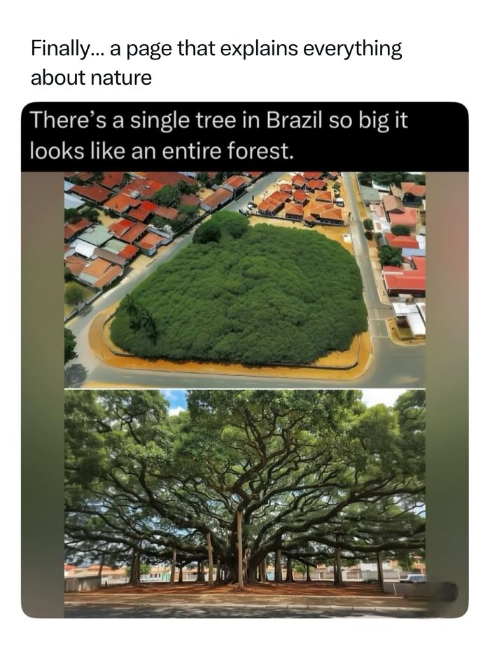 68 Fascinating Photos And Facts That Show Just How Incredible Nature Can Be (New Pics) 68 Fascinating Photos And Facts That Show Just How Incredible Nature Can Be (New Pics)