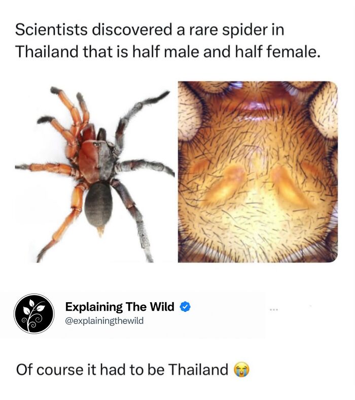 68 Fascinating Photos And Facts That Show Just How Incredible Nature Can Be (New Pics) 68 Fascinating Photos And Facts That Show Just How Incredible Nature Can Be (New Pics)
