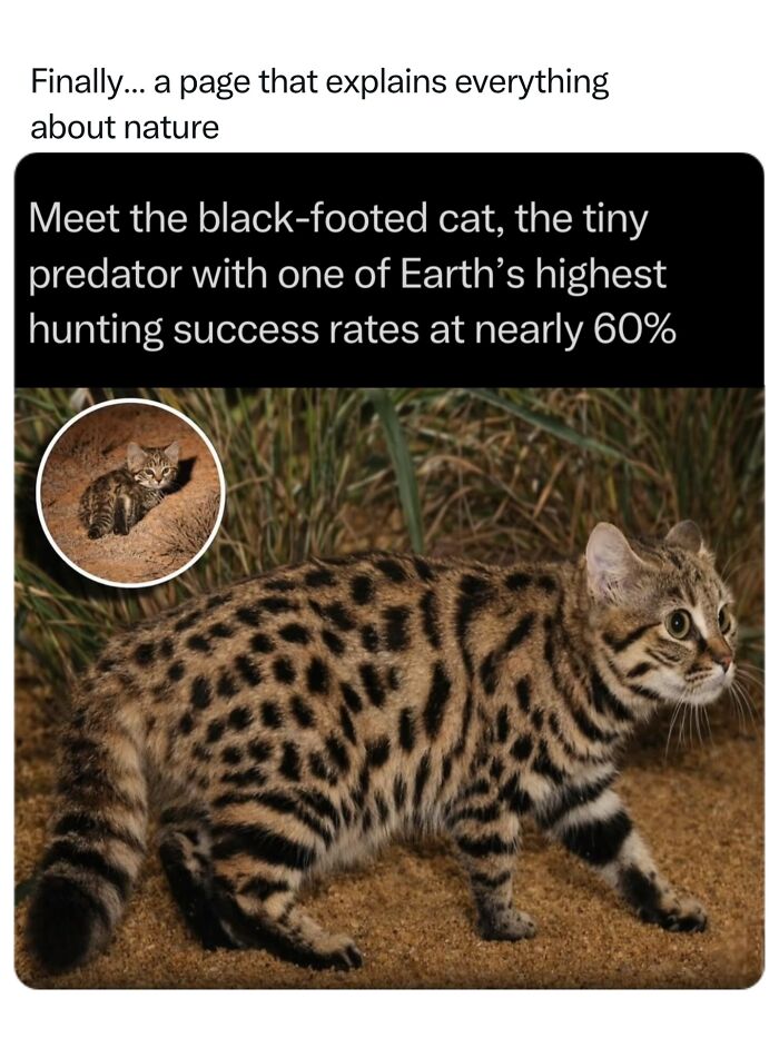 68 Fascinating Photos And Facts That Show Just How Incredible Nature Can Be (New Pics) 68 Fascinating Photos And Facts That Show Just How Incredible Nature Can Be (New Pics)