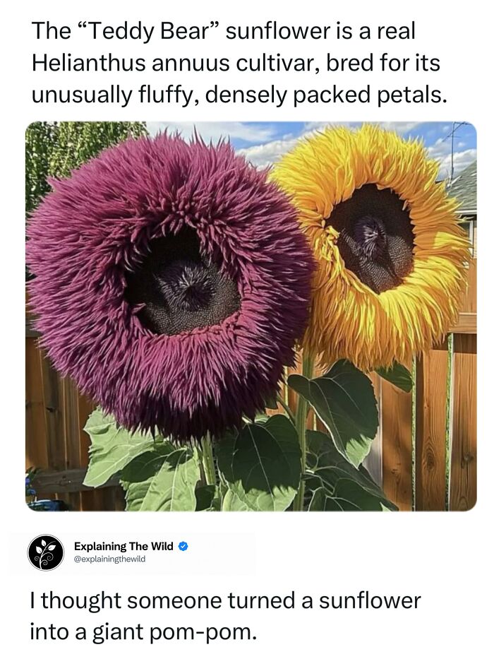 68 Fascinating Photos And Facts That Show Just How Incredible Nature Can Be (New Pics) 68 Fascinating Photos And Facts That Show Just How Incredible Nature Can Be (New Pics)