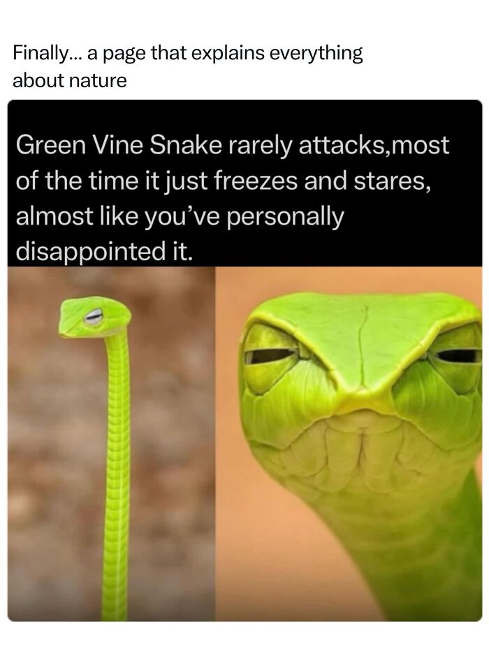 68 Fascinating Photos And Facts That Show Just How Incredible Nature Can Be (New Pics) 68 Fascinating Photos And Facts That Show Just How Incredible Nature Can Be (New Pics)