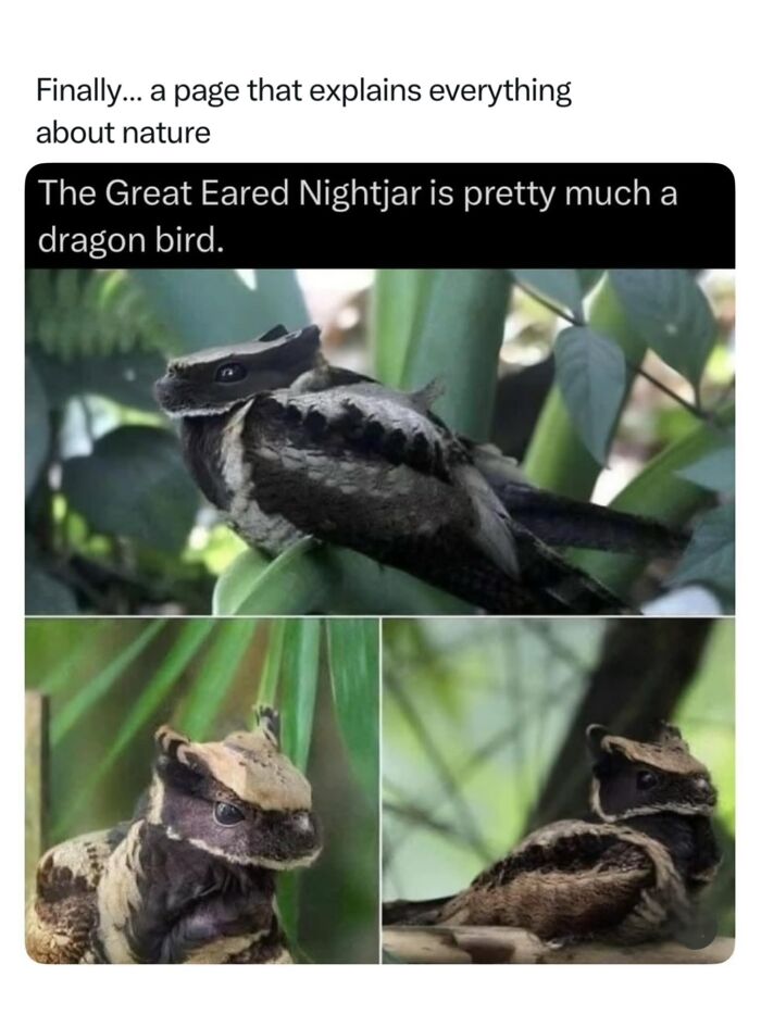 68 Fascinating Photos And Facts That Show Just How Incredible Nature Can Be (New Pics) 68 Fascinating Photos And Facts That Show Just How Incredible Nature Can Be (New Pics)