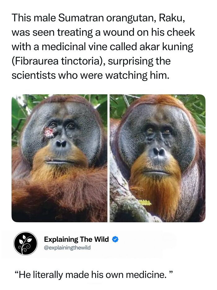 68 Fascinating Photos And Facts That Show Just How Incredible Nature Can Be (New Pics) 68 Fascinating Photos And Facts That Show Just How Incredible Nature Can Be (New Pics)