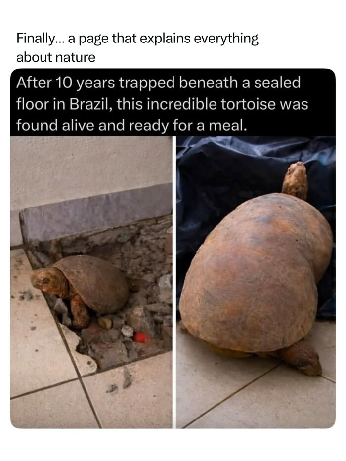 68 Fascinating Photos And Facts That Show Just How Incredible Nature Can Be (New Pics) 68 Fascinating Photos And Facts That Show Just How Incredible Nature Can Be (New Pics)