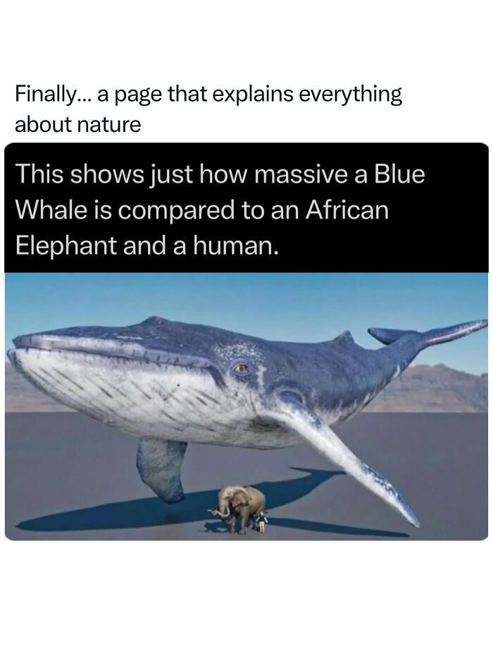 68 Fascinating Photos And Facts That Show Just How Incredible Nature Can Be (New Pics) 68 Fascinating Photos And Facts That Show Just How Incredible Nature Can Be (New Pics)