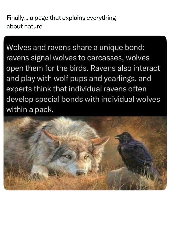 68 Fascinating Photos And Facts That Show Just How Incredible Nature Can Be (New Pics) 68 Fascinating Photos And Facts That Show Just How Incredible Nature Can Be (New Pics)