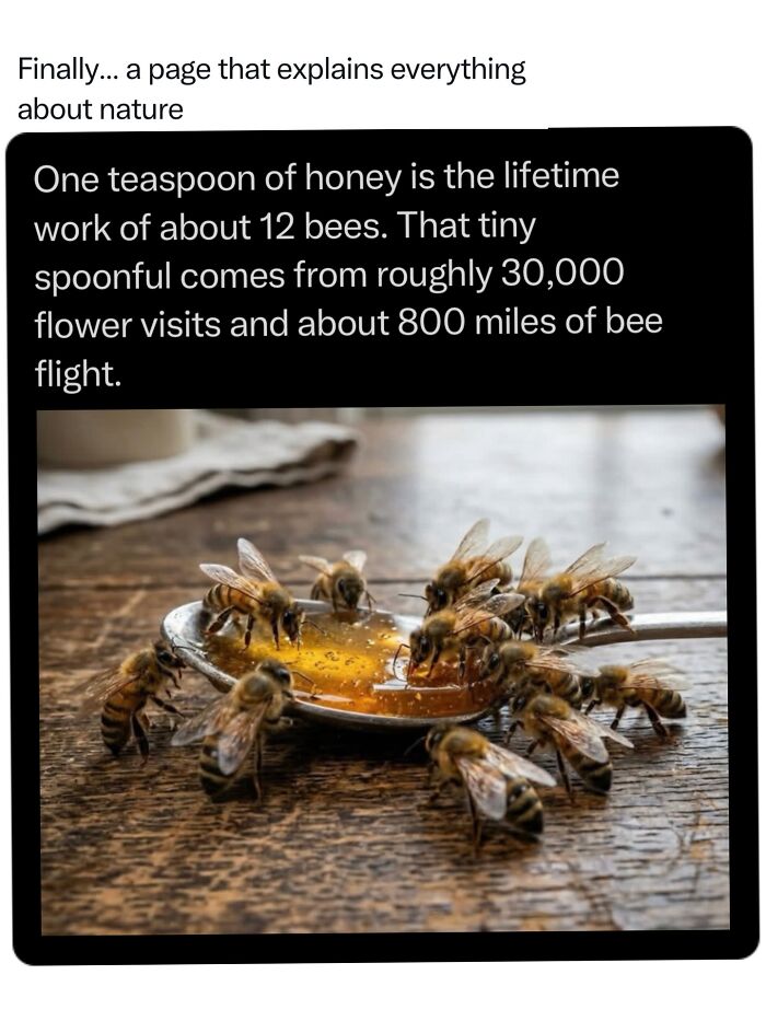 68 Fascinating Photos And Facts That Show Just How Incredible Nature Can Be (New Pics) 68 Fascinating Photos And Facts That Show Just How Incredible Nature Can Be (New Pics)