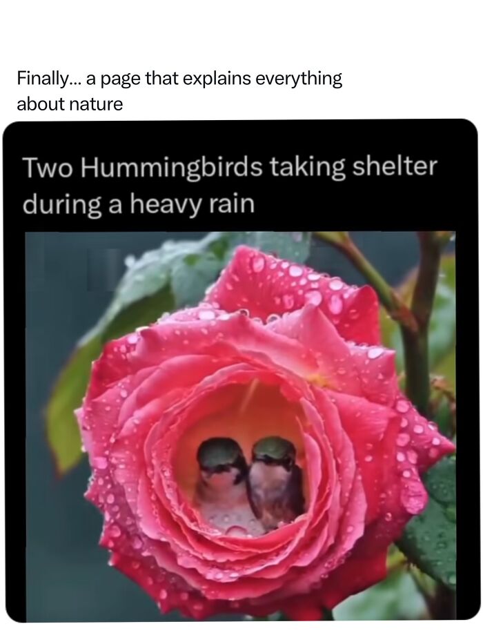 68 Fascinating Photos And Facts That Show Just How Incredible Nature Can Be (New Pics) 68 Fascinating Photos And Facts That Show Just How Incredible Nature Can Be (New Pics)
