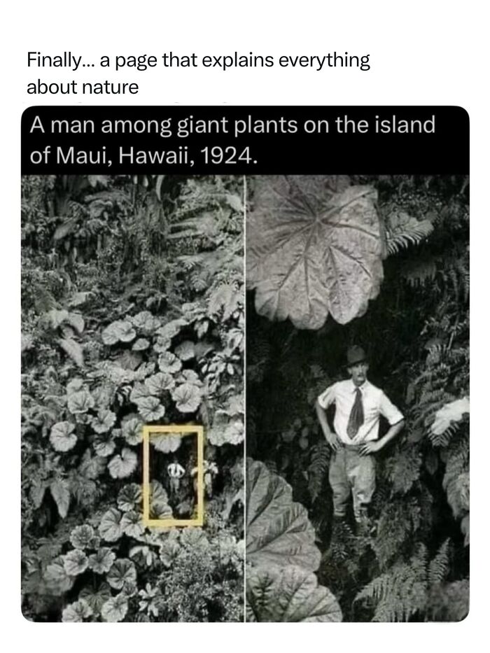 68 Fascinating Photos And Facts That Show Just How Incredible Nature Can Be (New Pics) 68 Fascinating Photos And Facts That Show Just How Incredible Nature Can Be (New Pics)