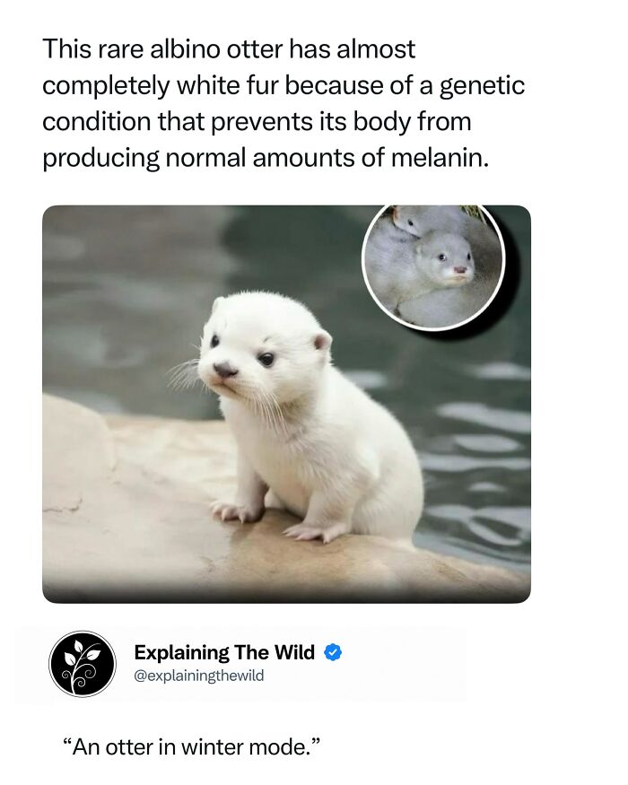 68 Fascinating Photos And Facts That Show Just How Incredible Nature Can Be (New Pics) 68 Fascinating Photos And Facts That Show Just How Incredible Nature Can Be (New Pics)