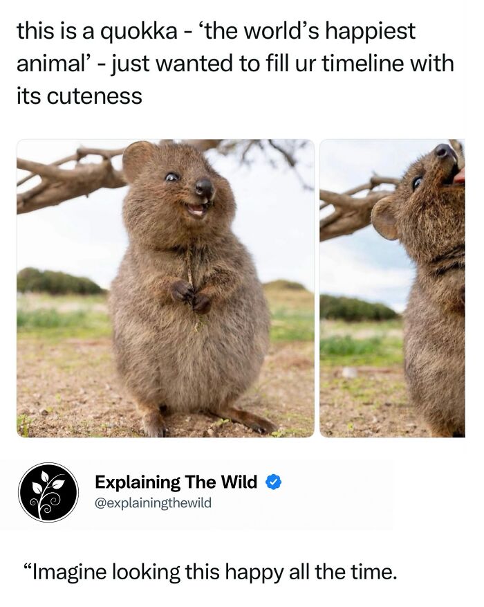 68 Fascinating Photos And Facts That Show Just How Incredible Nature Can Be (New Pics) 68 Fascinating Photos And Facts That Show Just How Incredible Nature Can Be (New Pics)