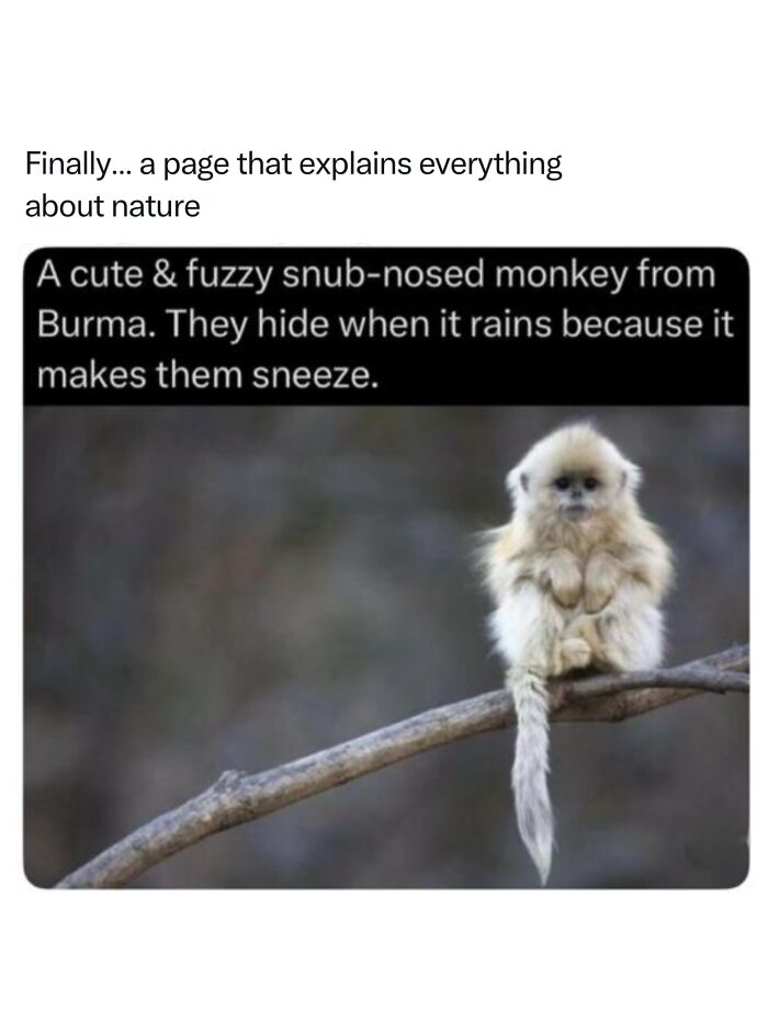 68 Fascinating Photos And Facts That Show Just How Incredible Nature Can Be (New Pics) 68 Fascinating Photos And Facts That Show Just How Incredible Nature Can Be (New Pics)