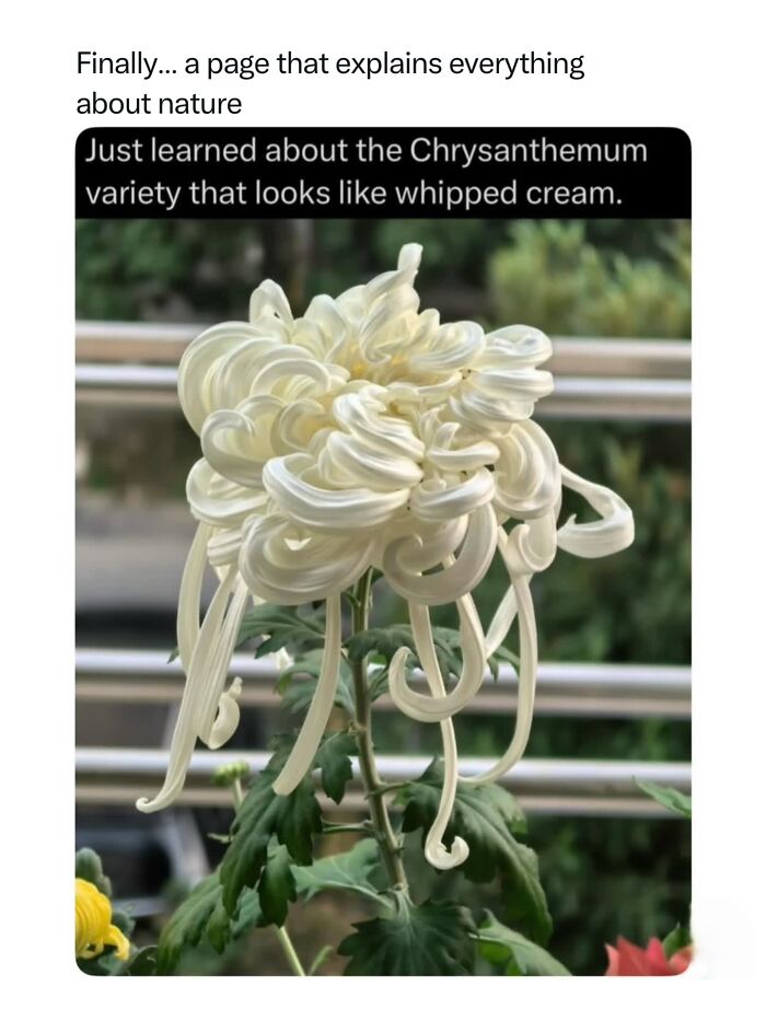 68 Fascinating Photos And Facts That Show Just How Incredible Nature Can Be (New Pics) 68 Fascinating Photos And Facts That Show Just How Incredible Nature Can Be (New Pics)