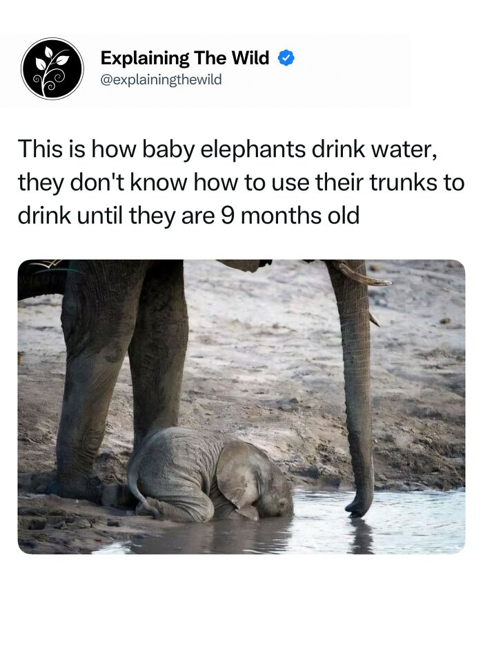 68 Fascinating Photos And Facts That Show Just How Incredible Nature Can Be (New Pics) 68 Fascinating Photos And Facts That Show Just How Incredible Nature Can Be (New Pics)