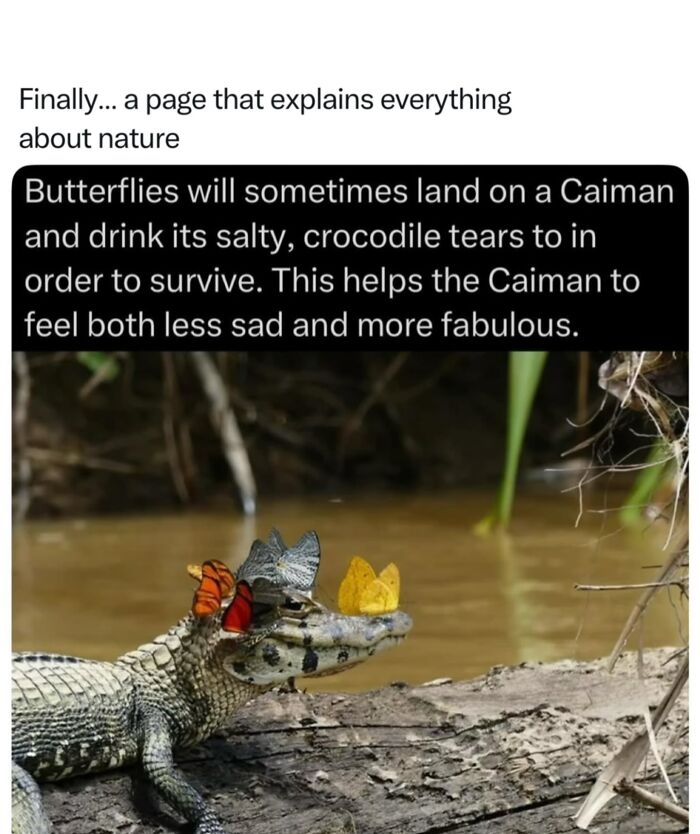 68 Fascinating Photos And Facts That Show Just How Incredible Nature Can Be (New Pics) 68 Fascinating Photos And Facts That Show Just How Incredible Nature Can Be (New Pics)