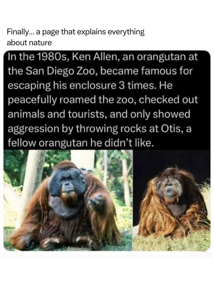 68 Fascinating Photos And Facts That Show Just How Incredible Nature Can Be (New Pics) 68 Fascinating Photos And Facts That Show Just How Incredible Nature Can Be (New Pics)