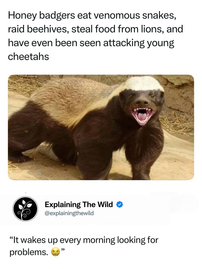 68 Fascinating Photos And Facts That Show Just How Incredible Nature Can Be (New Pics) 68 Fascinating Photos And Facts That Show Just How Incredible Nature Can Be (New Pics)