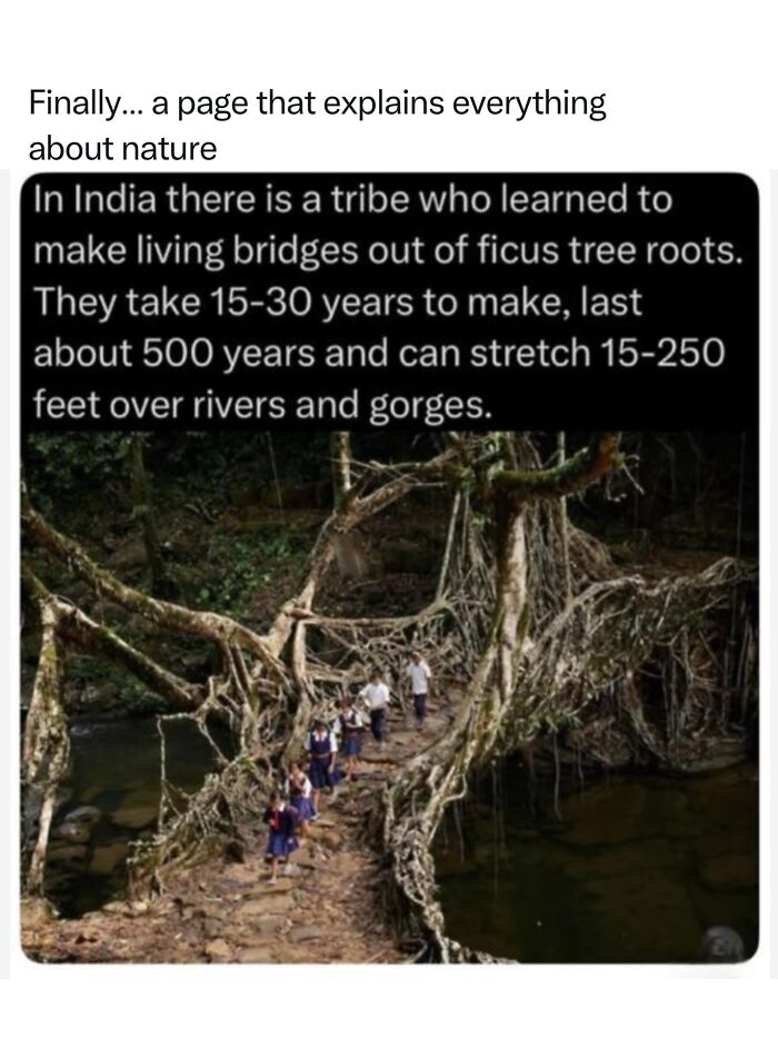 68 Fascinating Photos And Facts That Show Just How Incredible Nature Can Be (New Pics) 68 Fascinating Photos And Facts That Show Just How Incredible Nature Can Be (New Pics)