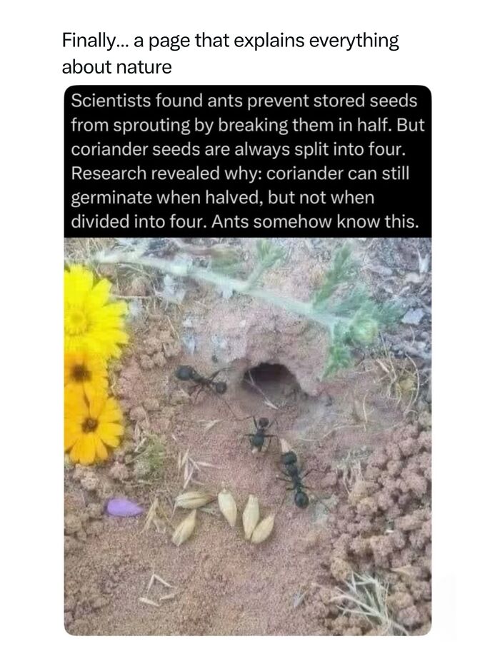 68 Fascinating Photos And Facts That Show Just How Incredible Nature Can Be (New Pics) 68 Fascinating Photos And Facts That Show Just How Incredible Nature Can Be (New Pics)