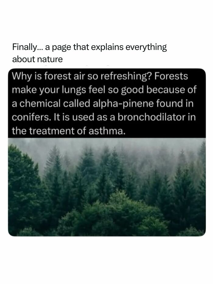 68 Fascinating Photos And Facts That Show Just How Incredible Nature Can Be (New Pics) 68 Fascinating Photos And Facts That Show Just How Incredible Nature Can Be (New Pics)