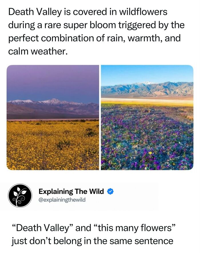 68 Fascinating Photos And Facts That Show Just How Incredible Nature Can Be (New Pics) 68 Fascinating Photos And Facts That Show Just How Incredible Nature Can Be (New Pics)