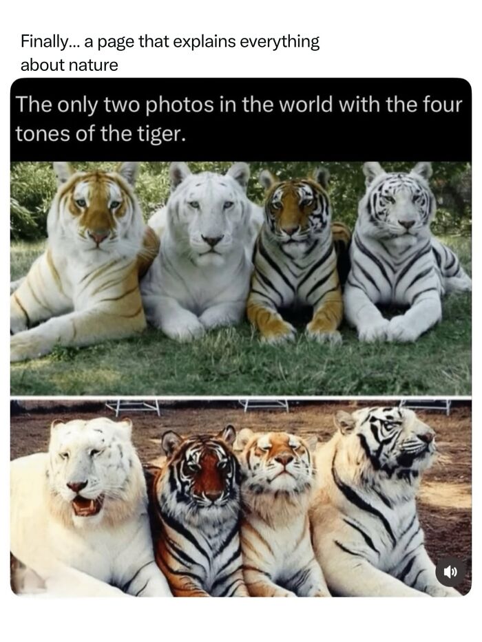 68 Fascinating Photos And Facts That Show Just How Incredible Nature Can Be (New Pics) 68 Fascinating Photos And Facts That Show Just How Incredible Nature Can Be (New Pics)
