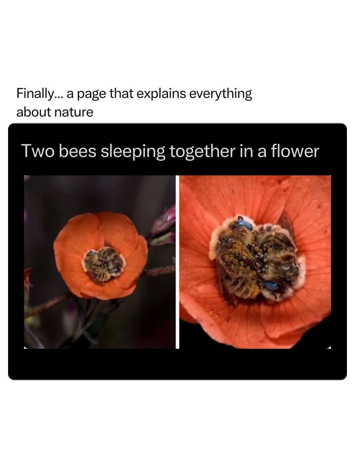 68 Fascinating Photos And Facts That Show Just How Incredible Nature Can Be (New Pics) 68 Fascinating Photos And Facts That Show Just How Incredible Nature Can Be (New Pics)