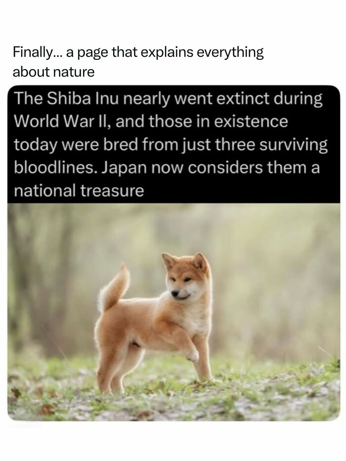 68 Fascinating Photos And Facts That Show Just How Incredible Nature Can Be (New Pics) 68 Fascinating Photos And Facts That Show Just How Incredible Nature Can Be (New Pics)