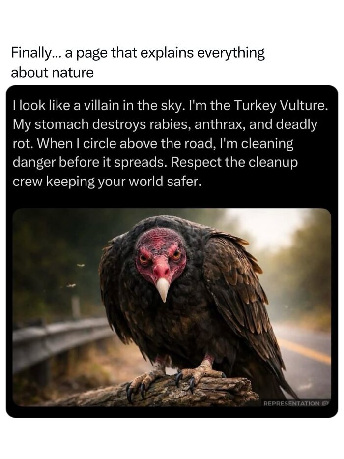 68 Fascinating Photos And Facts That Show Just How Incredible Nature Can Be (New Pics) 68 Fascinating Photos And Facts That Show Just How Incredible Nature Can Be (New Pics)