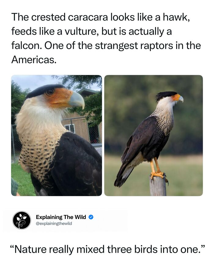 68 Fascinating Photos And Facts That Show Just How Incredible Nature Can Be (New Pics) 68 Fascinating Photos And Facts That Show Just How Incredible Nature Can Be (New Pics)
