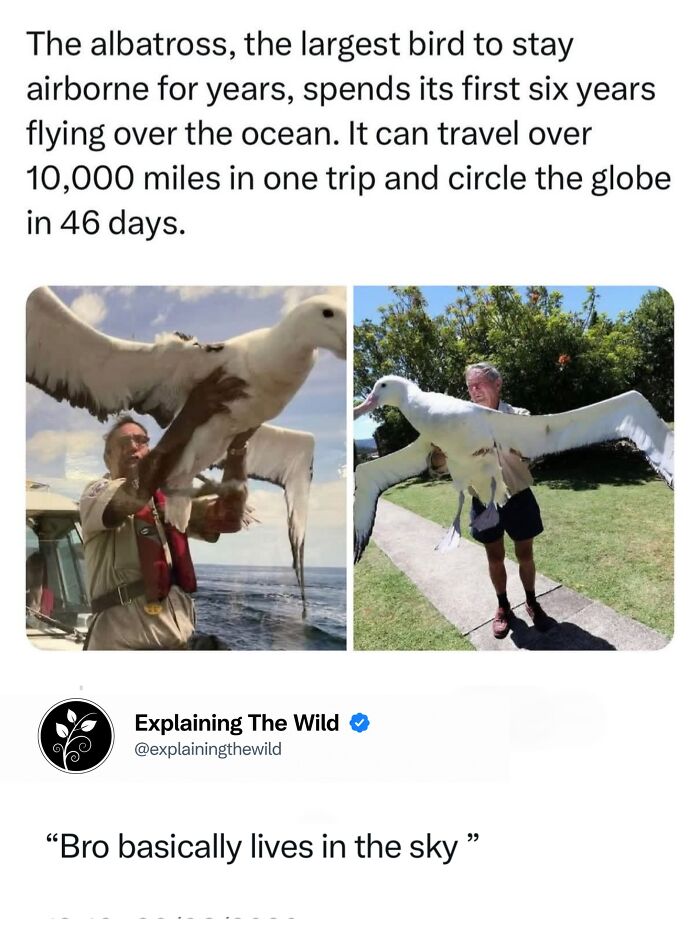 68 Fascinating Photos And Facts That Show Just How Incredible Nature Can Be (New Pics) 68 Fascinating Photos And Facts That Show Just How Incredible Nature Can Be (New Pics)