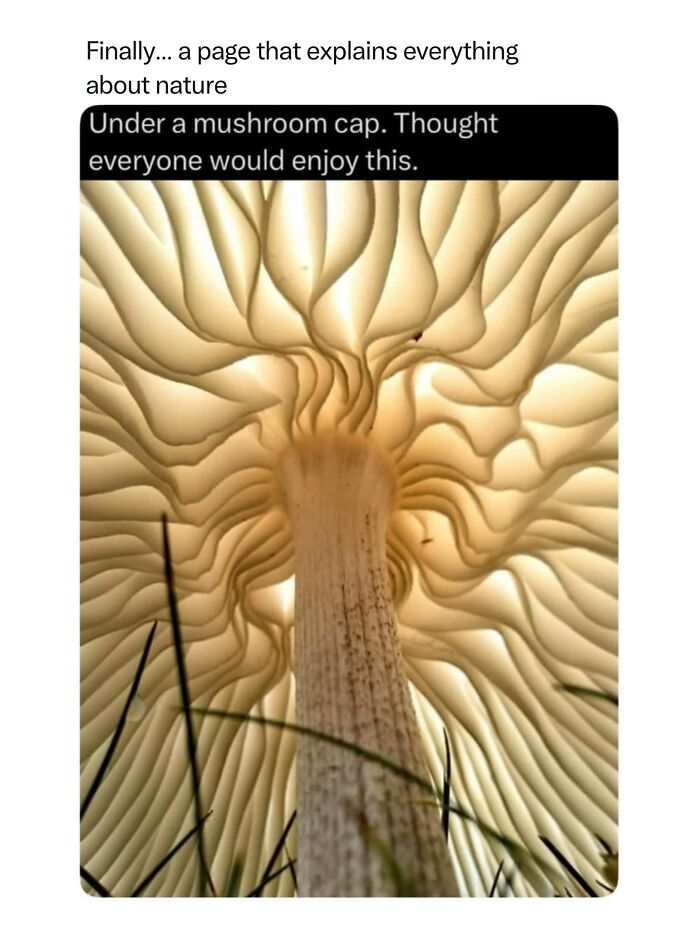 68 Fascinating Photos And Facts That Show Just How Incredible Nature Can Be (New Pics) 68 Fascinating Photos And Facts That Show Just How Incredible Nature Can Be (New Pics)
