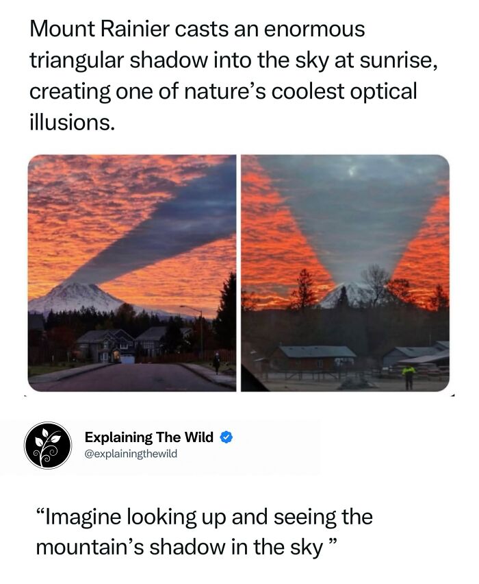 68 Fascinating Photos And Facts That Show Just How Incredible Nature Can Be (New Pics) 68 Fascinating Photos And Facts That Show Just How Incredible Nature Can Be (New Pics)