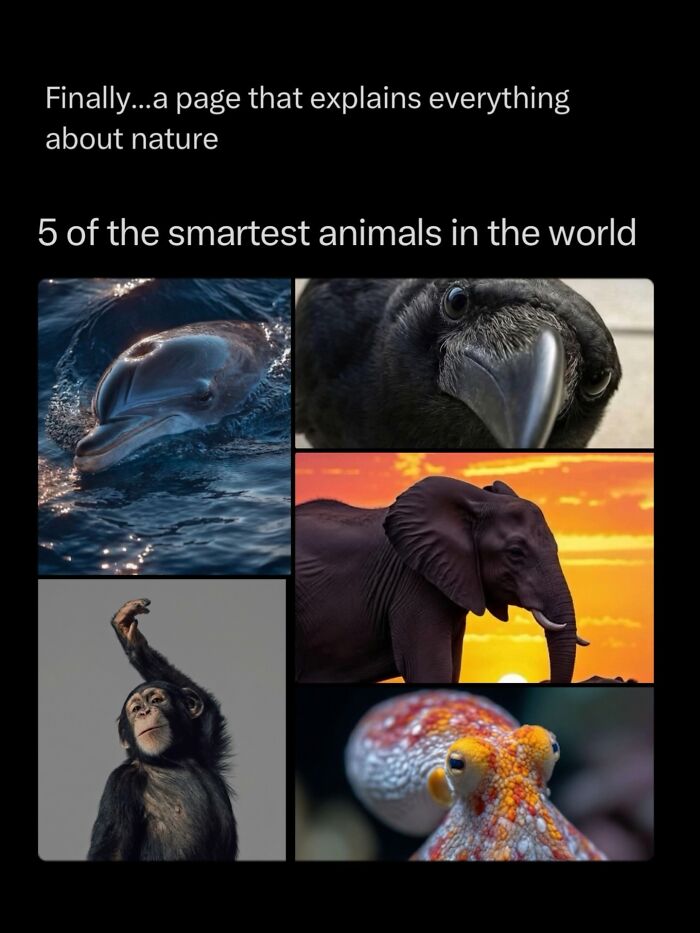 68 Fascinating Photos And Facts That Show Just How Incredible Nature Can Be (New Pics) 68 Fascinating Photos And Facts That Show Just How Incredible Nature Can Be (New Pics)