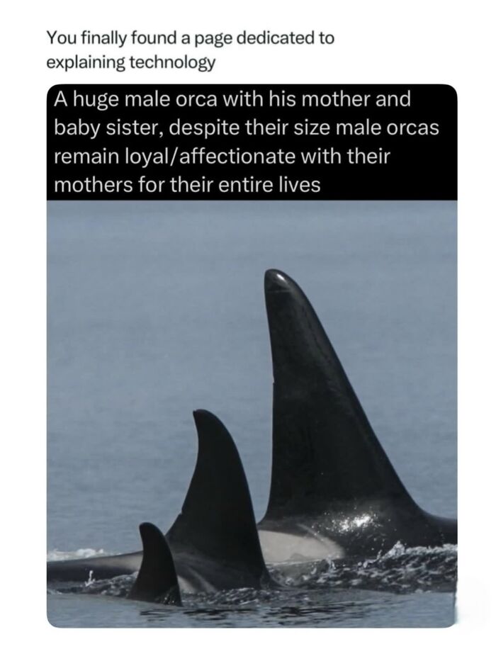 68 Fascinating Photos And Facts That Show Just How Incredible Nature Can Be (New Pics) 68 Fascinating Photos And Facts That Show Just How Incredible Nature Can Be (New Pics)