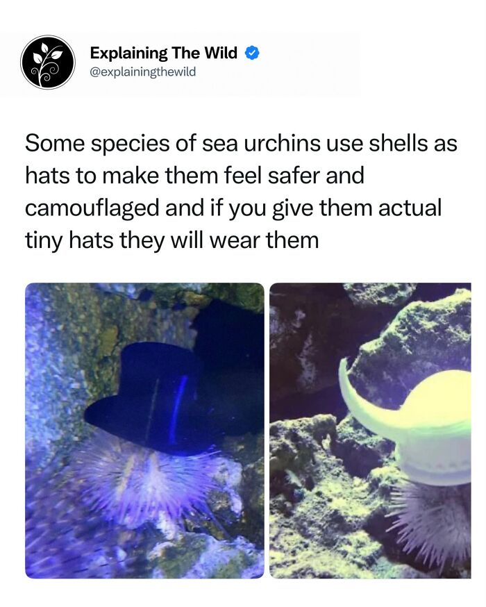 68 Fascinating Photos And Facts That Show Just How Incredible Nature Can Be (New Pics) 68 Fascinating Photos And Facts That Show Just How Incredible Nature Can Be (New Pics)